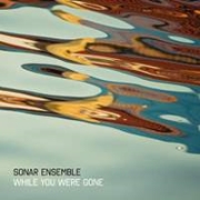 Review: Sonar Ensemble - While You Were Gone