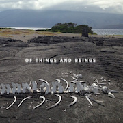 Lost World Band: Of Things And Beings