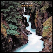 Review: Cat Stevens - Back To Earth