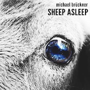 Michael Brückner: Sheep Asleep