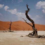 Nyos: Growl – die zweite