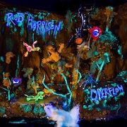 Rob Harrison: Overflow